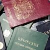 Access the National and Diplomatic Passport Database