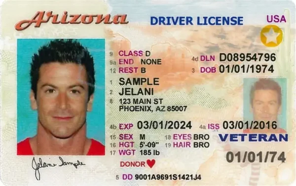 Driver's license for the United States (all states)