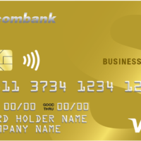 France's Visa Gold Credit Card (10K+ Business)