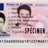 France Driver's License