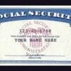 Social Security Number (SSN)